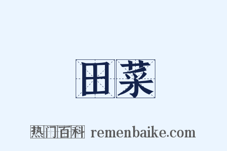 田菜是什么意思的图片